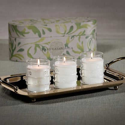Zodax Grand Casablanca Scented Jar Candles, 2.82 oz, 3 Pack - Water Lotus | Decorative glass jar candle set, Clean aquatic floral and herbal scent, 25 hours burn time, Gift box included - size: 2.82 oz/ 3 pack