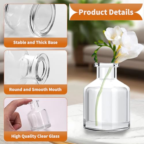 6 Pcs Bud Vases, Clear Glass Bud Vase, 2 x 2.75 Inch | Mini Flower Vases, Small Living Glass Vase Bulk for Flowers, Centerpieces, Home Table Decor, Living Room, Office Decor