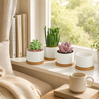 ZOUTOG Ceramic Succulent Pots 8 Pack,3.6 Inch Plant Pots,Succulent Planters with Drainage Hole & Bamboo Tray for Indoor Plants,White Small Flower Planters for Home,Office,Desk - size: 8 pack
