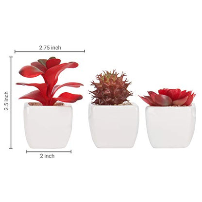 MyGift Assorted Artificial Red Succulent Plants, Mini Fake Desert Plants in White Square Pots, Set of 3 - color: Red (Set of 3)