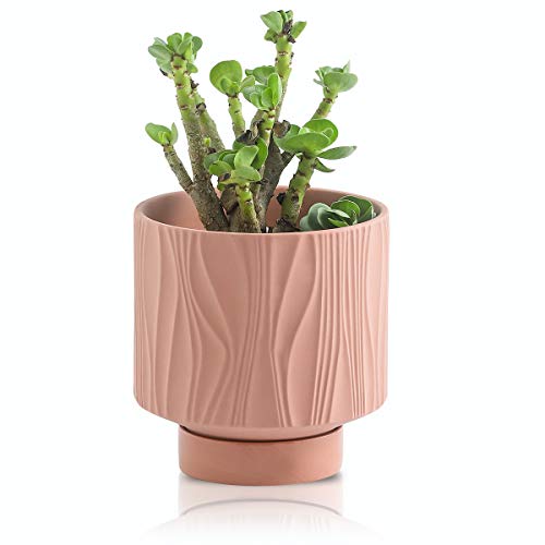 UBEE Ceramic Plant Pots for Indoor Plant, 5.5 inch Succulent Pot with Drainage Hole and Saucer, Flower Pot for Garden Home Desktop Office, Terracotta - color: Terracotta