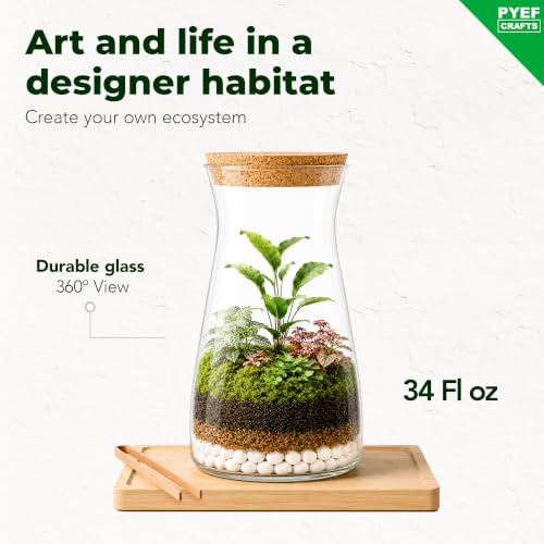 Terrarium Kit for Plants DIY | Starter Pack – Closed Ecosystem – 34 fl oz Glass – Succulents, Air Plants, Bonsai, Indoor Plants – (Plants Not Included) - size: 34 fl oz
