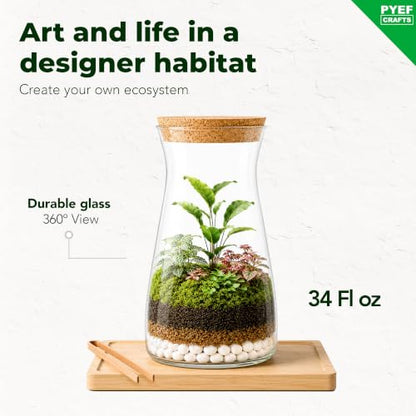 Terrarium Kit for Plants DIY | Starter Pack – Closed Ecosystem – 34 fl oz Glass – Succulents, Air Plants, Bonsai, Indoor Plants – (Plants Not Included) - size: 34 fl oz