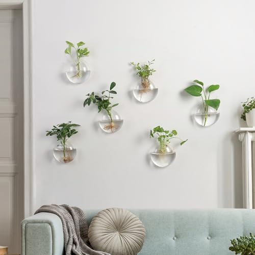 Wall Propagation Planters 6 Pack Wall Glass Planters Wall Plant Holder | Glass Wall Vase, Indoor Hydroponic Decor, Plant Propagation Wall Hanging