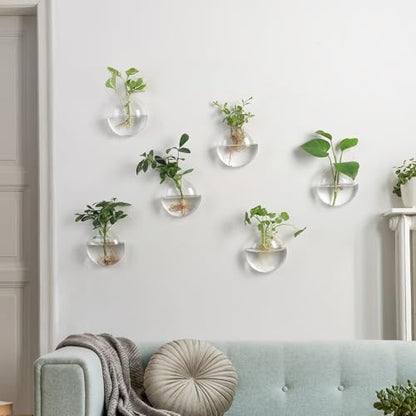Wall Propagation Planters 6 Pack Wall Glass Planters Wall Plant Holder | Glass Wall Vase, Indoor Hydroponic Decor, Plant Propagation Wall Hanging