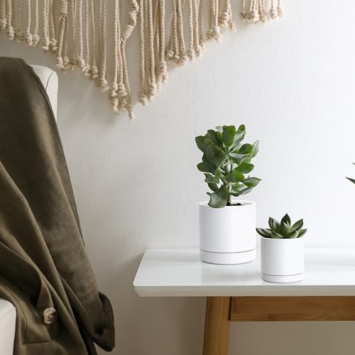 D'vine Dev 2-Pack Ceramic Pots & Saucers, White, 3.5/4.7 in, 94-G-XS-1 | Glazed Ceramic, Drainage Hole, Perfect-Fit Saucer, Sleek Cylinder Shape, High Temperature Fired, Elegant Home Accent - color: White, size: X-Small