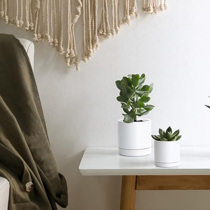 D'vine Dev 2-Pack Ceramic Pots & Saucers, White, 3.5/4.7 in, 94-G-XS-1 | Glazed Ceramic, Drainage Hole, Perfect-Fit Saucer, Sleek Cylinder Shape, High Temperature Fired, Elegant Home Accent - color: White, size: X-Small