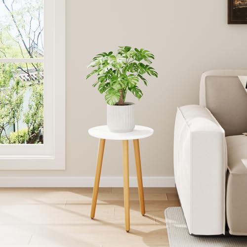 Leaf&lull Tall Plant Stand Indoor Small Plant Table | Wood Plant Stool for Large Plant, Plant Holder for Living Room Bedroom Balcony White - color: white tall