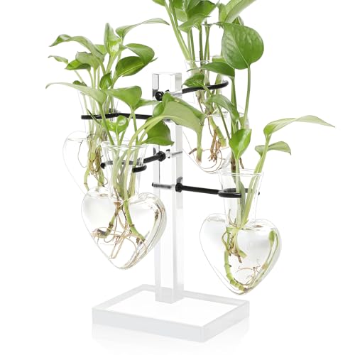 Plants Propagation Stations Plant Terrarium Kit Gift for Women | Birthday Glass Planters For Indoor Plants Home Office Decor Acrylic Plant Accessories - 4 Love Hear Vase - color: Transparent
