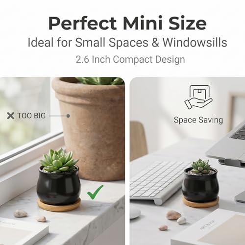 SHECIPIN 2 Pack Succulent Pots, 2.5 Inch Mini Ceramic Pots for Flower or Cactus Plants with Drainage Hole,Plants Not Included (Black) - color: 2 Pack Black Mini Pots