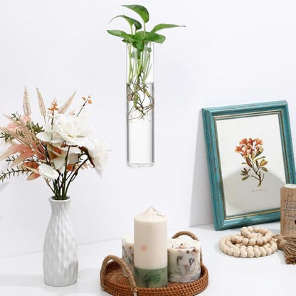 CALLARON Cylinder Glass Wall Vase Set for Hydroponic Plant Propagation, Wall-Mounted Flower Tube Vase Holder, 2pcs Hanging Indoor Terrariums for Home and Office Décor