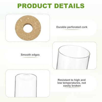 M METERXITY 1 Pack Glass Planter Terrarium with Wooden Cover, Desktop Plant Propagation Station Clear Vase for Hydroponic Plants Propagation/Home Garden Decor/Plant Lover [2.56'' x 4.72''] - size: 2.56'' x 4.72''