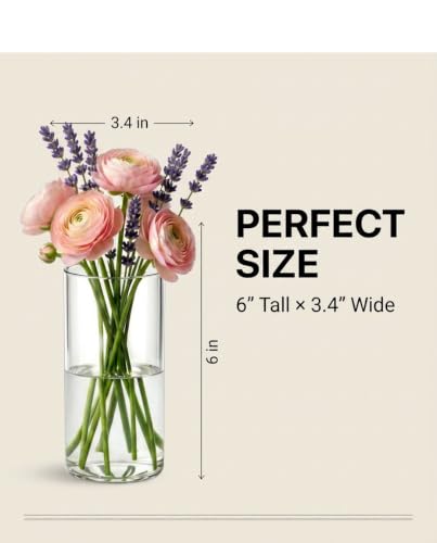 DicraoLe 12Pcs Borosilicate Glass Vase Set, | Durable Flower Vase Bulk for Wedding Centerpieces, Clear Small Bud Vases for Restaurants, Parties & Home Table Decor