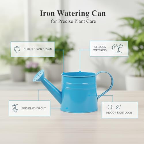 Long Spout Iron Watering Can for Indoor & Outdoor Plants, Durable Metal Design with Precise Flow Control (1 Pack) - color: Blue