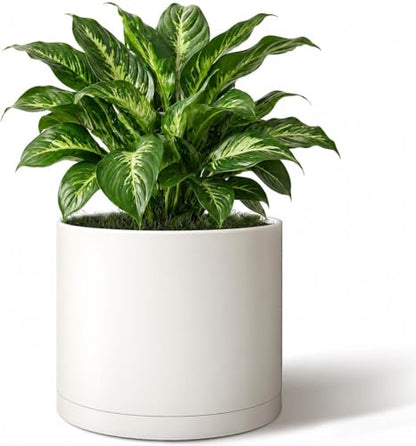 Giraffe Creation 10 Inch Cylinder Plant Pot, Modern Round Planter with Drainage Holes and Saucer, Lightweight Plastic Flower Pot for Indoor Outdoor Plants, White - color: White 10 Inch