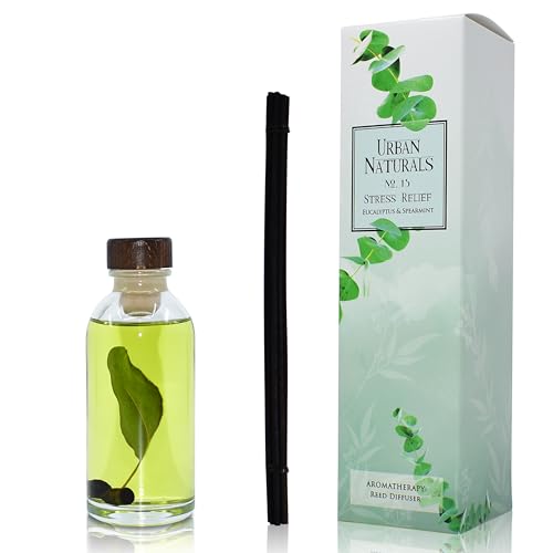 Reed Diffuser Set, Eucalyptus Spearmint - Stress Relief | Fragrance your Space, Fresh Scented Room Freshener and Home Decor, Home Gift Idea. Vegan - color: Eucalyptus Spearmint