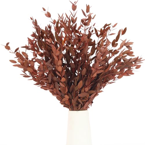 7-12 Pcs Preserved Eucalyptus Stems, 14-17" Orange Leaves for Vase Filler | Natural Dried Plant Branches, Flower Arrangement, Wedding, Farmhouse, Home Fragrance, Bathroom Decor, Crafting, Spa Gift - color: Orange