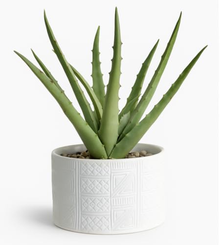 Kurrajong Farmhouse Artificial Plant in White Ceramic Pot | 10" high sage Green Faux Agave Plant | Fake Plant for Desk Decor | Artificial Agave for Home Decor | Artificial Succulent for Shelf Decor