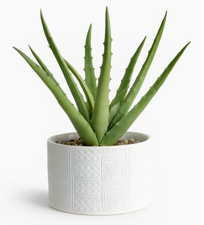 Kurrajong Farmhouse Artificial Plant in White Ceramic Pot | 10" high sage Green Faux Agave Plant | Fake Plant for Desk Decor | Artificial Agave for Home Decor | Artificial Succulent for Shelf Decor