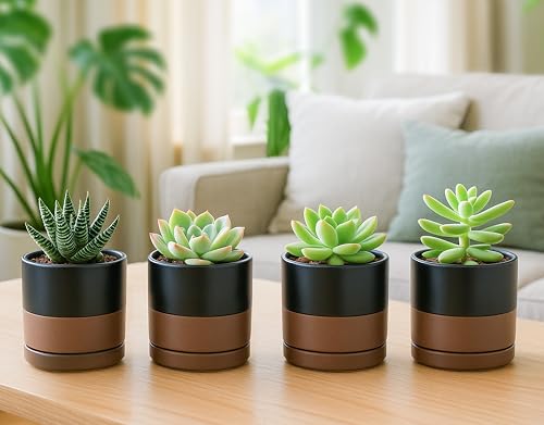 D'vine Dev 4-Pack Ceramic Pots with Saucers, Black/Tan, 3.5 in, 94-X-A-7 | Glazed Ceramic, Drainage Hole and Saucer, Sleek Cylinder Shape, High Temperature Fired, Ideal for Small Houseplants - color: Black/Speckled Tan, size: 3.5 Inch