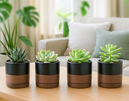 D'vine Dev 4-Pack Ceramic Pots with Saucers, Black/Tan, 3.5 in, 94-X-A-7 | Glazed Ceramic, Drainage Hole and Saucer, Sleek Cylinder Shape, High Temperature Fired, Ideal for Small Houseplants - color: Black/Speckled Tan, size: 3.5 Inch