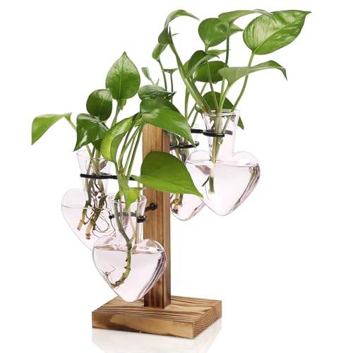 Plant Terrarium Propagation Stations with Wooden Stand | Glass Vase for Indoor Hydroponics Home Garden Office Decoration Gift for Women - 4 Love Bulb Vase - color: Pink