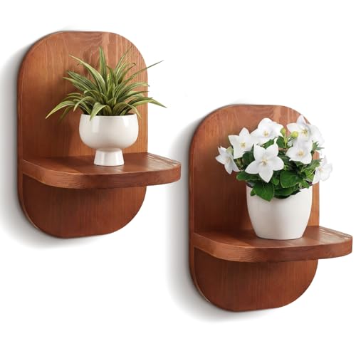 AceOrbit 2 Pack Wooden Wall Mounted Plant Holder, Wall Hanging Plant Holders for Indoor Plants Flower Pot Hanging Shelves for Bedroom Living Room Porch Balcony Outdoor Decor
