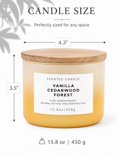 Vanilla Cedarwood Forest 3 Wick Soy Scented Candle for Men & Women, 15.8oz | Balsam, Fir & Clove Notes, Aromatherapy, Warm & Woody, Clean Burn, Fall & Winter, Home & Office, Birthday & Housewarming Gift