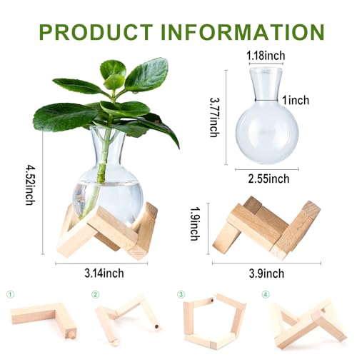 Propagation Stations, Propagation vases with Wooden Stand, Small Tabletop Glass Bulb Vases for Hydroponics Plant Propagation Station Home Office Decoration, Gift for Women Plant Lovers (2)