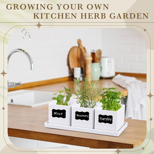6 Pcs Herb Garden Planter Set Herb Garden Kit Indoor Plastic Plant Pots with Drainage and Saucer Succulent Cactus Vegetable Window Boxes Planter for Windowsill Indoor Outdoor Pots