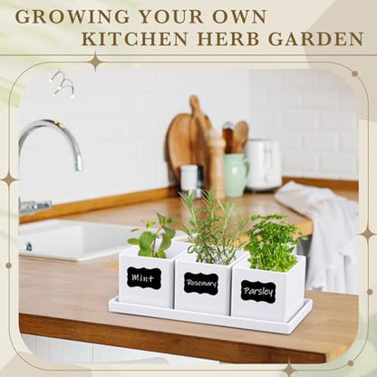 6 Pcs Herb Garden Planter Set Herb Garden Kit Indoor Plastic Plant Pots with Drainage and Saucer Succulent Cactus Vegetable Window Boxes Planter for Windowsill Indoor Outdoor Pots