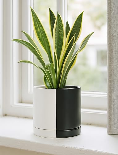 D'vine Dev 8.2 Inch Ceramic Planter Pot, Black White Split, 94-O-D-0 | Modern Cylinder Design, Drainage Hole & Saucer Included, Stable Structure, Elegant Home Accent - color: Split Monochrome Black & White, size: Medium