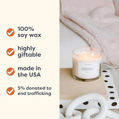 Home & Holiday 3 Wick Scented Candle - 43 Hour Burn | Made in the USA Luxury Clean Soy Wax Candles - Long Lasting Large Glass Jar Candle for Home - 3 Wicks - 14.9oz - color: Home + Holiday