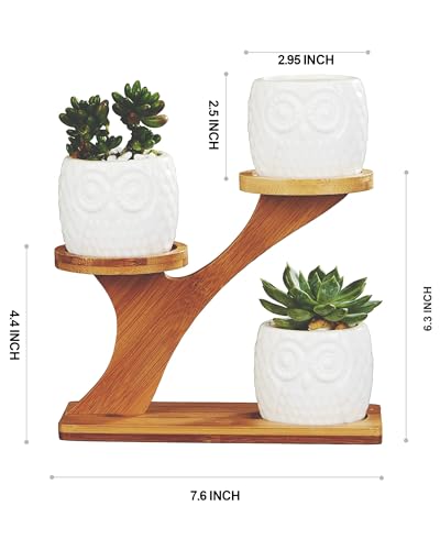 FLOWERPLUS Planter Pots Indoor, 3 Pack 3 Inch White Ceramic Decorative Small Owl Succulent Cactus Flower Plant Pot with Tree Tier Bamboo Stand for Garden Kitchen Home Office Desk Decorations