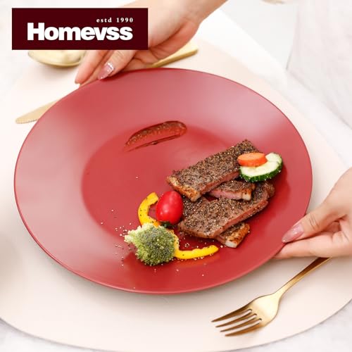 HomeVss Colors Life 12pc Dinnerware Set, Shiny Black and Matte Berry - color: Berry, size: 12pc Set