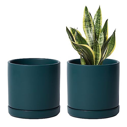 D'vine Dev 2-Pack Ceramic Pots with Saucers, Teal, 6 in, 94-V-C-9 | Modern Cylinder Design, Glazed Ceramic, Drainage Hole & Saucer Included, High Temperature Fired, Elegant Home Accent - color: Teal, size: 6 Inch