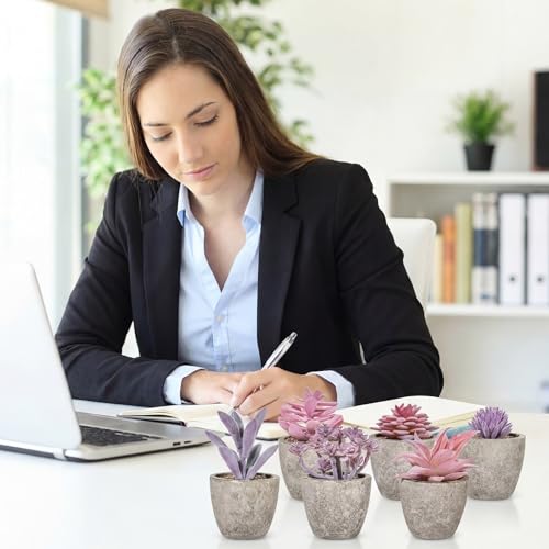 Set of 6 Artificial Succulents Potted - Realistic Mini Fake Cactus Plants in Paper Pulp Pots, 2-4'' Mixed Sizes for Farmhouse Shelf, Bathroom, Coatrack Shelf, Bedroom Indoor(Elegant Style) - style: Elegant Style