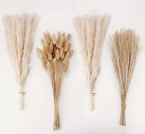 Natural Dried Pampas Grass Decor, White Pampas Grass， Bunny Tails Dried Flowers, Reed Grass Bouquet for Wedding Boho Flowers Home Table Decor, Rustic Farmhouse Party (100 in Total ) - size: 100PCS-White
