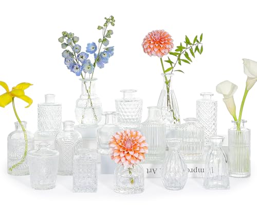 SUPMIND 16Pcs Clear Glass Bud Vase, Small Flower Vase for Centerpieces Bulk | Mini Vintage Vases Set, Cute Vases for Wedding, Home Decor, Table Centerpieces Decoration - color: Clear
