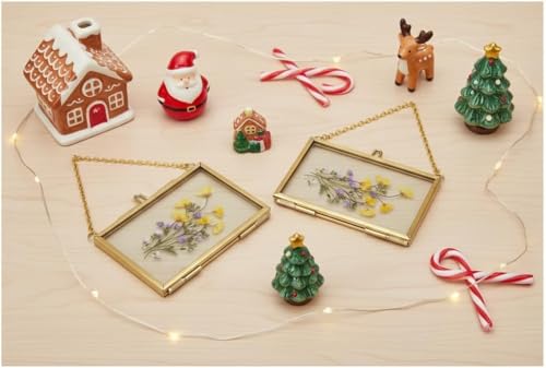 4 Pcs Pressed Flower Frame, Wall Hanging Tabletop Display Double Glass Frames with Metal Chain for Pressed Dried Flowers Plants, Horizontal and Vertical Picture Frame, Black, FRAMES ONLY - color: Balck-H-4