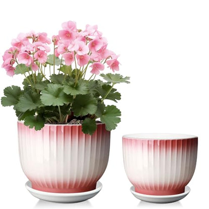 6.7 + 5.5 Inch Ceramic Plant Pots,Set of 2,Planters with Drainage Hole and Saucer,Flower pots for Indoor Plants,Elegant Design(Pink + White, - color: Pink + White