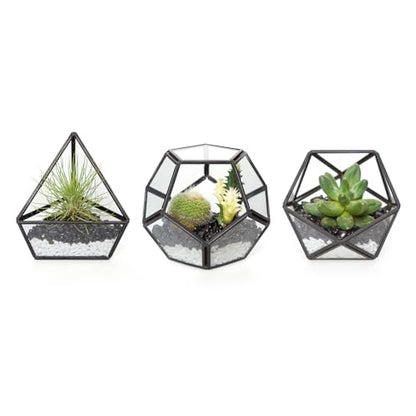 Mkono 3 Pack Geometric Glass Terrarium, 4" Black Air Plant Holder Tabletop | Modern Centerpiece Decor, 3 Shapes Metal Frame, Fits Succulent Moss Fairy Garden Shelf Coffee Table, Plants Not Included - color: Black