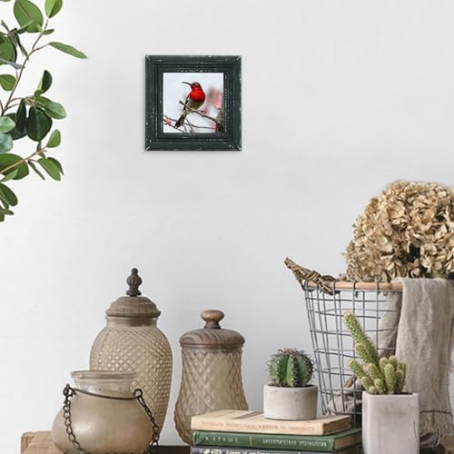 4x4 Picture Frame Made of Solid Wood High Definition Glass Rustic Antique Designs Small Photo Frame for Tabletop Display and Wall Mounting, Distress Black - color: Distress Black B, size: 4" X 4"