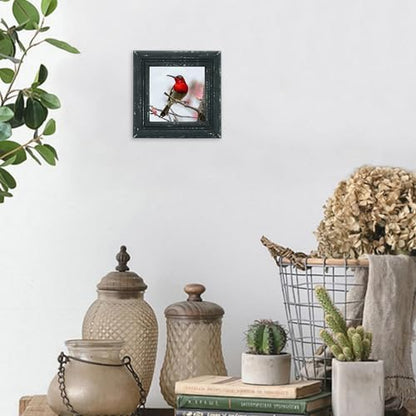 4x4 Picture Frame Made of Solid Wood High Definition Glass Rustic Antique Designs Small Photo Frame for Tabletop Display and Wall Mounting, Distress Black - color: Distress Black B, size: 4" X 4"