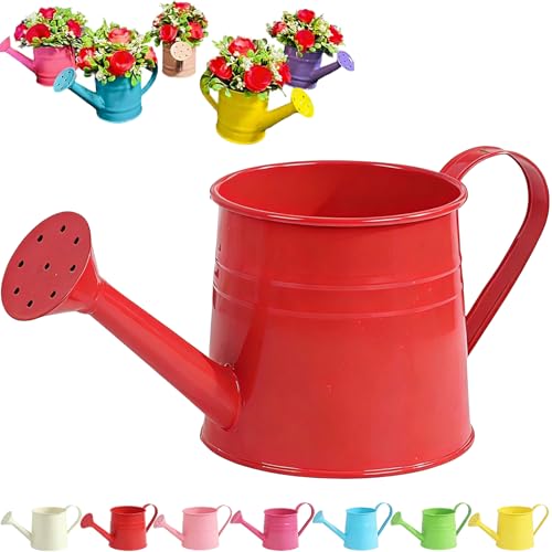 Tinplate Watering Kettle 1L, Mini Metal Watering Can with Long Spout and Handle, Vintage Flower Sprinkling Can for Indoor Plants, Patio and Garden Use (Red-A05) - color: Red-a05