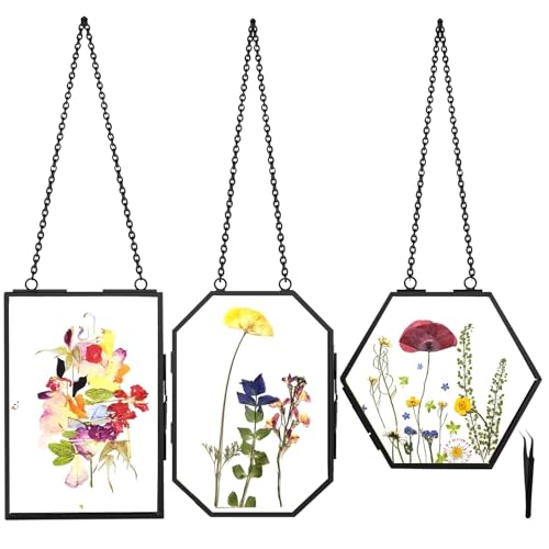Hanging Pressed Flower Frames, 3Pcs Double Glass Floating Picture Frame Handmade, Glass Frame for Pressed Flowers, Vintage Brass Picture Frame for Artwork Wall Display Mount, Black - color: Black-3