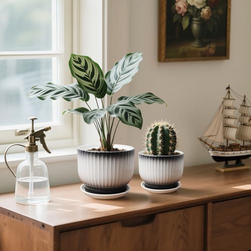6.7 + 5.5 Inch Ceramic Plant Pots,Set of 2,Planters with Drainage and Saucer,Indoor Pots for Plants,Modern Flower Pots for Home and Office（Black + White） - color: Black + White