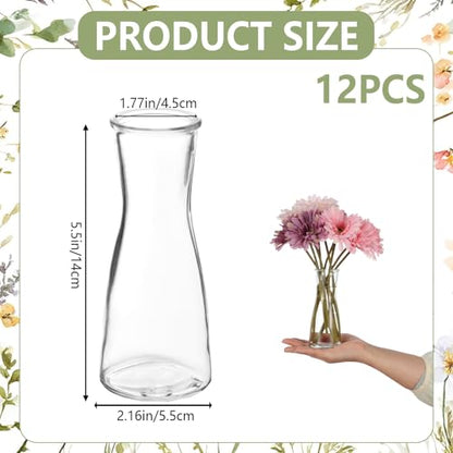 12 Set Glass Bud Vases for Centerpieces Small Clear Flower Vase Modern Decorative Vases Mini Clear Bud Vases Mini Decorative Bulk Vase for Bridal Shower Wedding Birthday Party Dining Table Decor