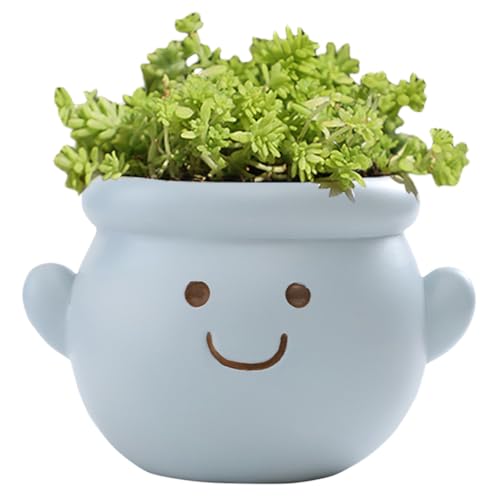 Cute Face Planter Pot, Small Resin Head Planters for Indoor Plants, Funny Smiling Face Flower Pot Succulent Planter with Drainage Hole, Gift IdeaI for Birthday Christmas (Blue) - color: Blue