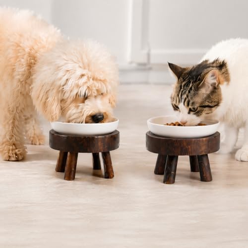 TOPZEA Set of 2 Mini Wooden Stool Display Stand, Wood Riser for Bonsai, Flower Pot, Small Potted Plant Stands Round Rustic Planter Stools Pedestal Risers for Garden, Patio, Home